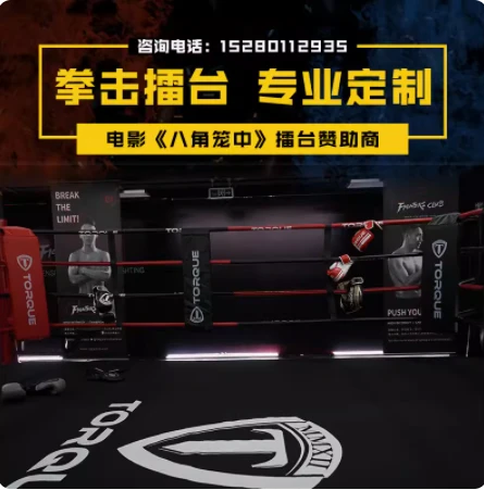 MMA 用のオクタゴン