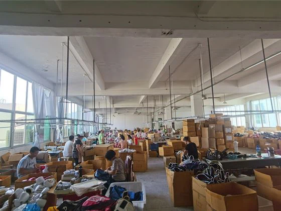 アモイ キーノス スポーツ株式会社